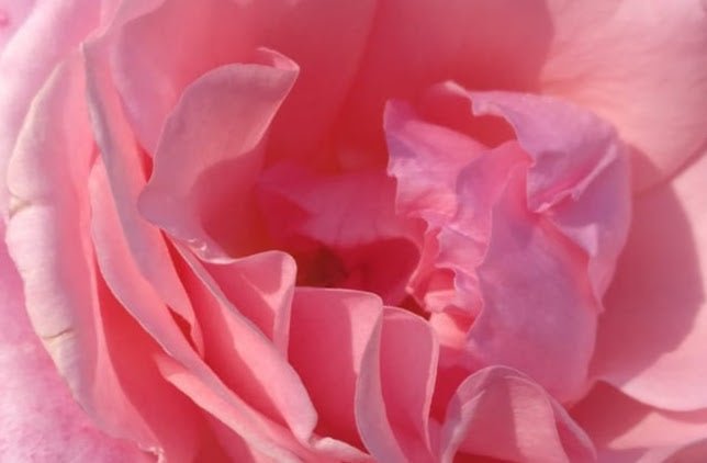 White, pink or brown noise. Is it useful for sleep or just tik tok noise? - SiEST Sleep